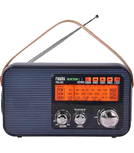 Sony SRF-R356 PLL Synthesizer Radio, FM/AM/Wide FM Compatible